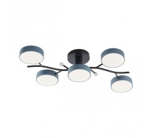 Потолочная люстра Ferrara 256606/5 Bk/Gr Arte Milano