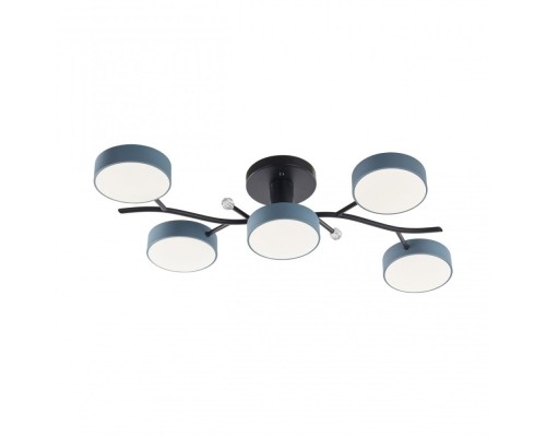 Потолочная люстра Ferrara 256606/5 Bk/Gr Arte Milano