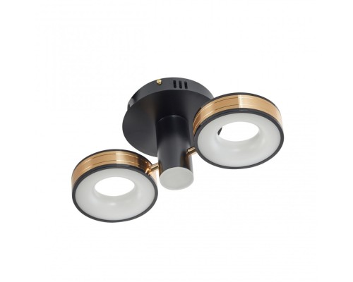 Потолочный светильник  271040/2R BK/GD Arte Milano