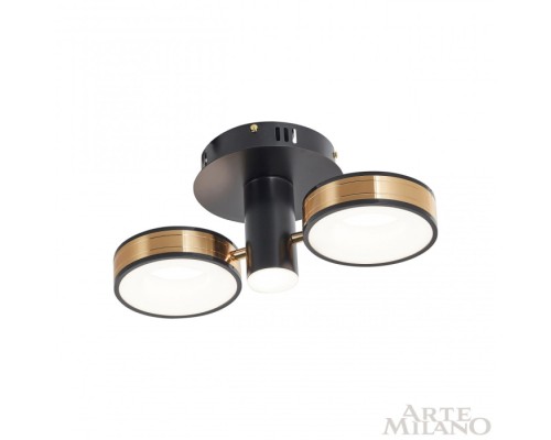 Потолочный светильник  271040/2R BK/GD Arte Milano