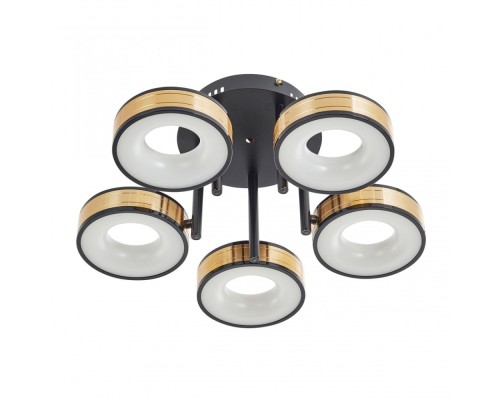 Потолочная люстра  271040/5R BK/GD Arte Milano