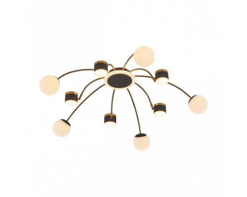 Потолочная люстра  272040/10 BK/GD Arte Milano