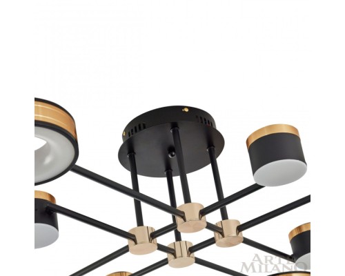 Потолочная люстра  272040/8 BK/GD Arte Milano