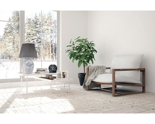 Настольная лампа Bernalda Bernalda E 4.1 S Arti Lampadari