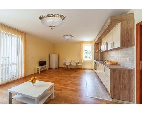 Потолочный светильник Venezia Venezia E 1.13.46 G Arti Lampadari