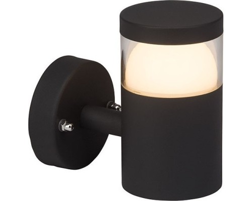 Настенный светильник уличный Shiso G44581/63 Brilliant