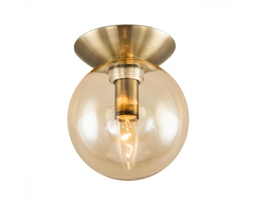 Настенно-потолочный светильник Томми CL102513 Citilux