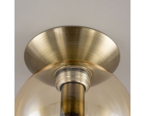 Настенно-потолочный светильник Томми CL102513 Citilux