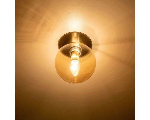 Настенно-потолочный светильник Томми CL102513 Citilux