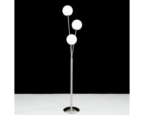 Торшер Томми CL102934 Citilux