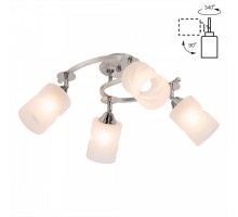 Потолочная люстра Сиерра CL119240 Citilux