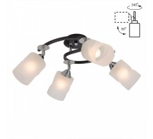 Потолочная люстра Сиерра CL119241 Citilux