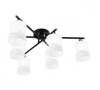 Потолочная люстра Нильс CL132165 Citilux