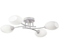 Потолочная люстра Флорида CL148140 Citilux