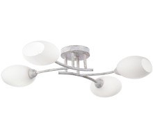 Потолочная люстра Флорида CL148140 Citilux