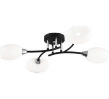 Потолочная люстра Флорида CL148145 Citilux