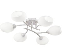 Потолочная люстра Флорида CL148160 Citilux