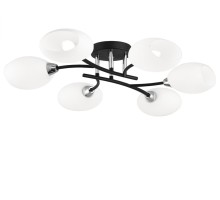 Потолочная люстра Флорида CL148165 Citilux