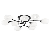 Потолочная люстра Флорида CL148195 Citilux