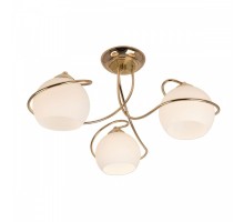 Потолочная люстра Лайма CL155132 Citilux