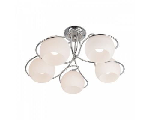 Потолочная люстра Лайма CL155151 Citilux