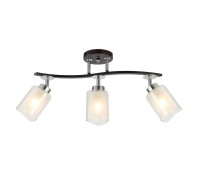 Потолочная люстра Фортуна CL156132 Citilux