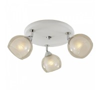 Потолочная люстра Самба CL158131 Citilux