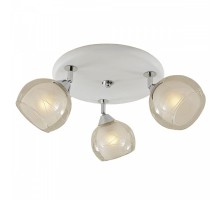 Потолочная люстра Самба CL158131 Citilux