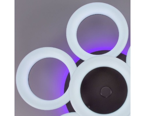 Потолочная люстра Паркер Смарт CL225A165E Citilux