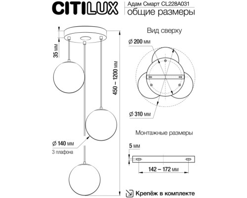 Подвесной светильник Адам Смарт CL228A031 Citilux
