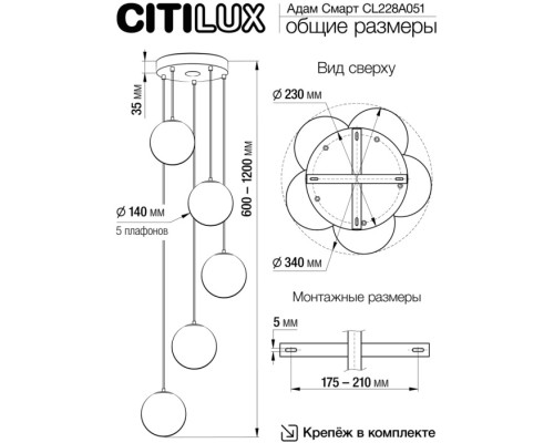 Подвесной светильник Адам Смарт CL228A051 Citilux