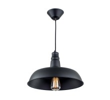 Подвесной светильник Эдисон CL450204 Citilux