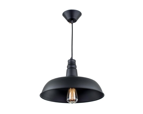 Подвесной светильник Эдисон CL450204 Citilux