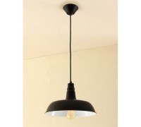 Подвесной светильник Эдисон CL450205 Citilux