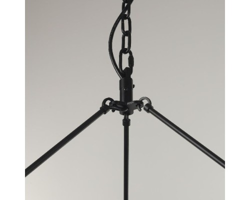 Подвесная люстра Смитсон CL470130 Citilux