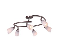 Спот Белла CL501161 Citilux