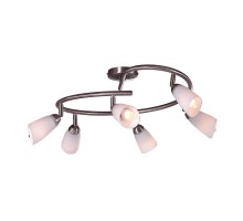 Спот Белла CL501161 Citilux