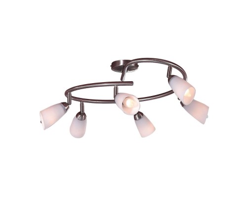 Спот Белла CL501161 Citilux