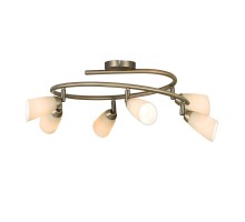 Спот Белла CL501163 Citilux