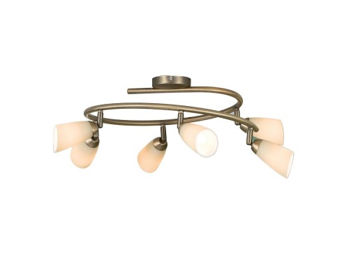 Спот Белла CL501163 Citilux