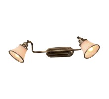 Спот Прованс CL511523 Citilux