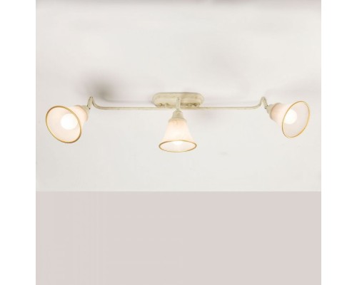 Спот Прованс CL511534 Citilux