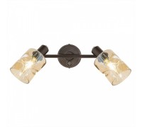 Спот Кингстон CL518520 Citilux