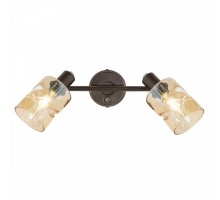 Спот Кингстон CL518520 Citilux