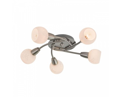 Спот Соната CL520151 Citilux