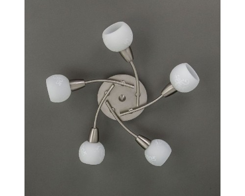 Спот Соната CL520151 Citilux