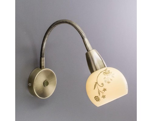 Спот Соната CL520313 Citilux