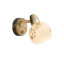 Спот Соната CL520513 Citilux