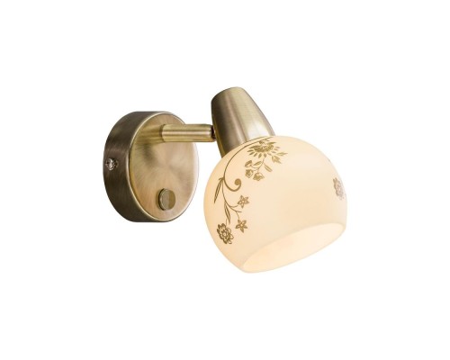 Спот Соната CL520513 Citilux