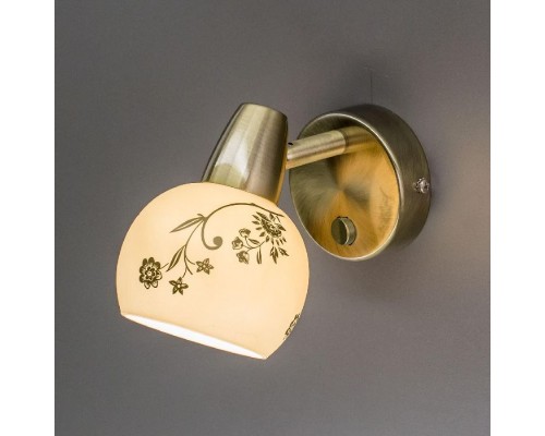 Спот Соната CL520513 Citilux